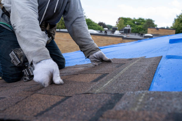 Best New Roof Installation  in Arcadia, LA