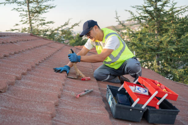 Best Roof Gutter Cleaning  in Arcadia, LA